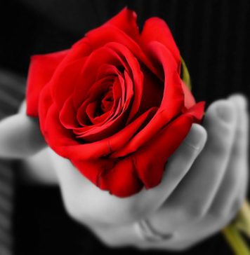 There Will Always Be That One Person Your Heart Won’t Let Go